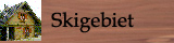 Skigebiet