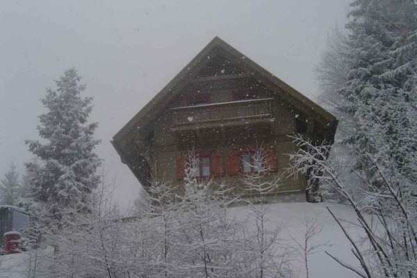 Schneefall